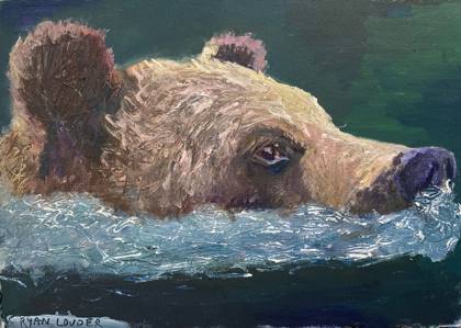 Bear Swimming Study In Oil, painting by Ryan Louder