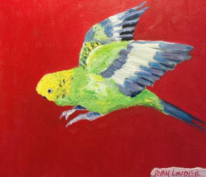 Budgie, painting by Ryan Louder