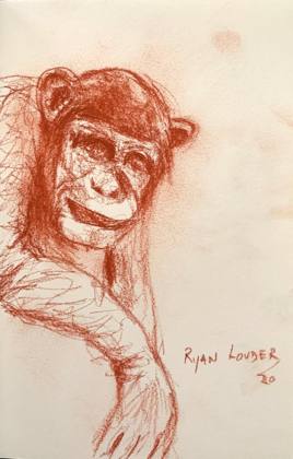 Chimpanzee Study - wildlife drawing, painting by Ryan Louder