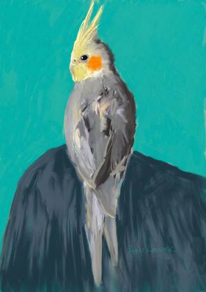 Cockatiel Against A Teal Background, painting by Ryan Louder