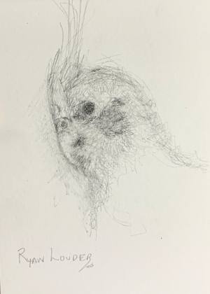 Cockatiel Head Study, painting by Ryan Louder