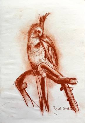 Cockatiel Preening 12x16, painting by Ryan Louder