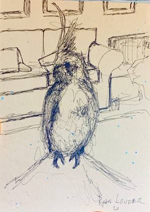 Cockatiel sitting on my knee 1, painting by Ryan Louder