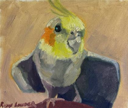 Cockatiel Stretching, painting by Ryan Louder