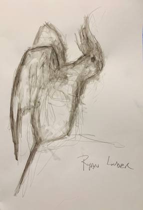 Cockatiel study on paper, painting by Ryan Louder
