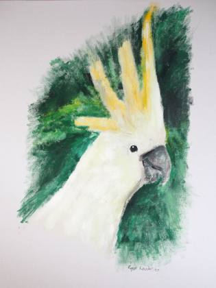 Cockatoo, painting by Ryan Louder