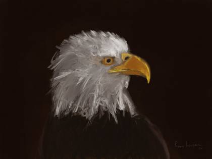 Eagle, painting by Ryan Louder