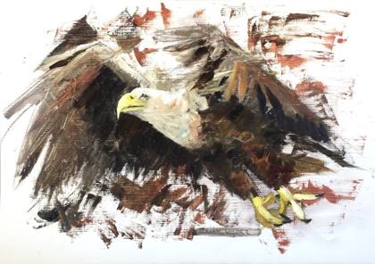 Eagle Study, painting by Ryan Louder
