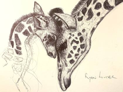 Giraffe and Baby 12x16, painting by Ryan Louder