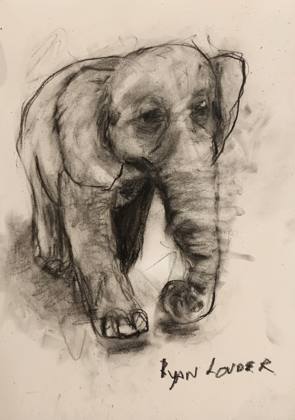 Happy Elephant - Small Drawing, painting by Ryan Louder