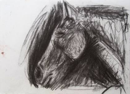 Horse In Charcoal 9x12 Ink on paper, painting by Ryan Louder