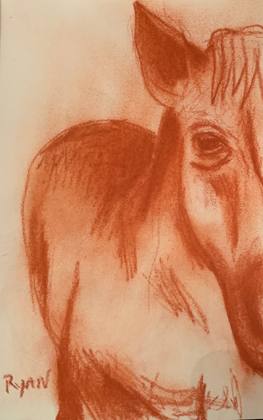 Horse Study - wildlife drawing, painting by Ryan Louder