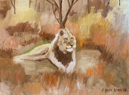Lion Resting, painting by Ryan Louder
