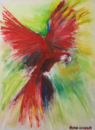 Macaw In Flight, painting by Ryan Louder