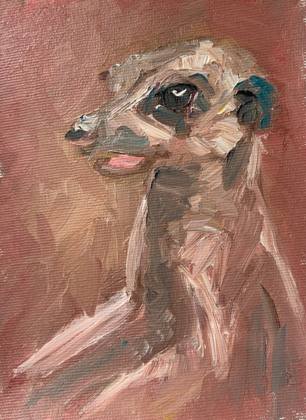 Meerkat, painting by Ryan Louder