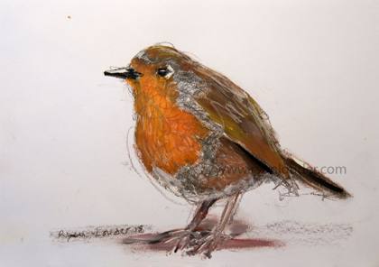 Robin, painting by Ryan Louder
