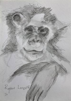 Scruffy Chimpanzee, painting by Ryan Louder