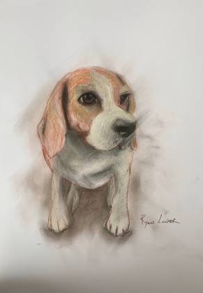 Shy Beagle, painting by Ryan Louder