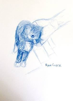 small cat picture, painting by Ryan Louder