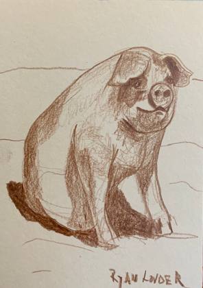 Small Pig Drawing - Sitting Pig, painting by Ryan Louder