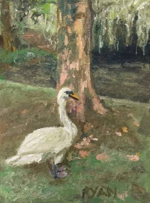 Swan In The Park, painting by Ryan Louder