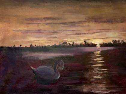 Swans At Sunset, painting by Ryan Louder