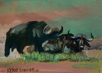 Water Buffalo, painting by Ryan Louder
