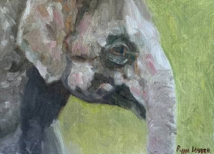 Young Elephants Head, painting by Ryan Louder